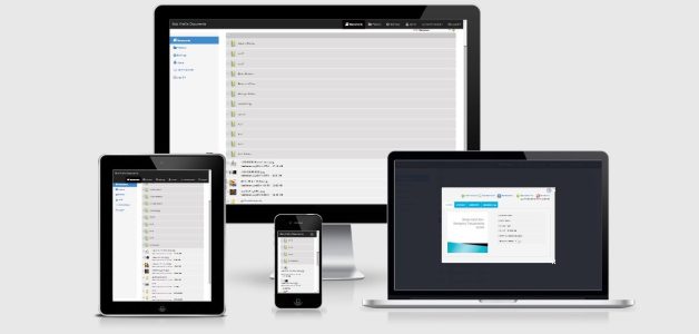 SP Project & Document Manager Bundle for WordPress